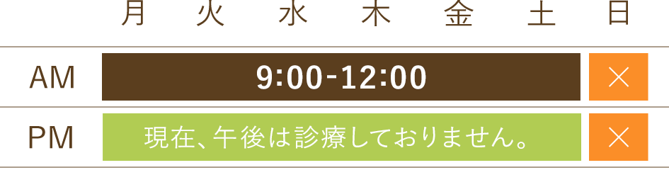 診療時間:月・火・水・木・金・土の午前のみ診療